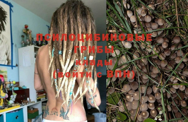 MDMA Белокуриха