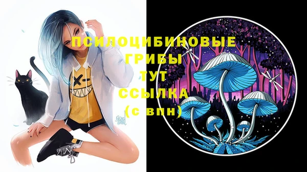 MDMA Белокуриха